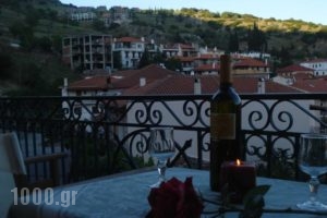 Iris_lowest prices_in_Hotel_Central Greece_Fokida_Delfi