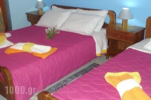 Iris_best deals_Hotel_Central Greece_Fokida_Delfi