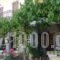 Iris_accommodation_in_Hotel_Central Greece_Fokida_Delfi