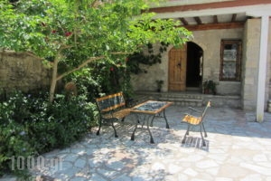 Villa Falcon_best deals_Villa_Ionian Islands_Lefkada_Lefkada Rest Areas