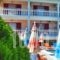 Bona Vista Studios_best prices_in_Hotel_Ionian Islands_Zakinthos_Agios Sostis