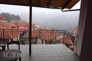 Arkametsovo_holidays_in_Hotel_Epirus_Ioannina_Metsovo