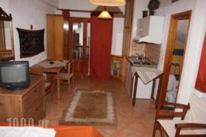 Arkametsovo_best deals_Hotel_Epirus_Ioannina_Metsovo