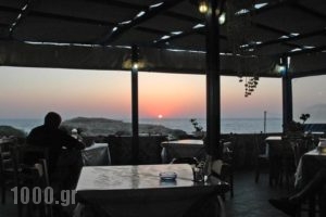 Three Dolphins_holidays_in_Hotel_Dodekanessos Islands_Karpathos_Karpathos Chora