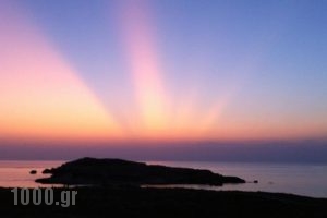 Three Dolphins_accommodation_in_Hotel_Dodekanessos Islands_Karpathos_Karpathos Chora