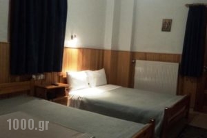 Apostolos Hotel_accommodation_in_Hotel_Epirus_Ioannina_Metsovo