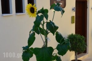 Helianthus Guesthouse_lowest prices_in_Hotel_Macedonia_Halkidiki_Ierissos