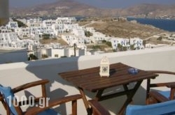 Athina Studios in Naousa, Paros, Cyclades Islands