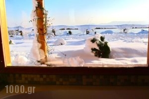 Hyades Mountain Resort_best deals_Hotel_Peloponesse_Korinthia_Xilokastro