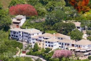 Portaria Hotel_accommodation_in_Hotel_Thessaly_Magnesia_Portaria