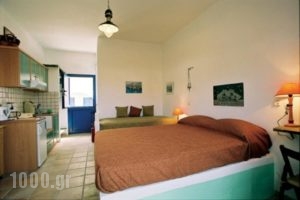 Standing Stone_lowest prices_in_Hotel_Cyclades Islands_Tinos_Kionia