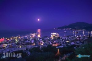 Apollo_best deals_Apartment_Ionian Islands_Zakinthos_Argasi