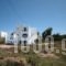 Sunny Beach Studios_best deals_Hotel_Cyclades Islands_Naxos_Naxos chora