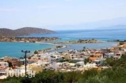 Alikes in Elounda, Lasithi, Crete