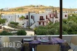 Katerina Studios in Naousa, Paros, Cyclades Islands