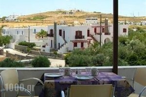 Katerina Studios_accommodation_in_Apartment_Cyclades Islands_Paros_Naousa