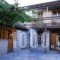 Xenonas Selini_travel_packages_in_Epirus_Ioannina_Vitsa