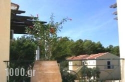 Silo Apartments in Klidonia, Ioannina, Epirus