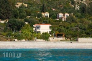 Christina Studios_accommodation_in_Room_Ionian Islands_Kefalonia_Kefalonia'st Areas