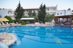 Asterias in Poros Rest Areas, Poros, Piraeus Islands - Trizonia