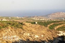 Zorbas in Pyrgos, Sandorini, Cyclades Islands