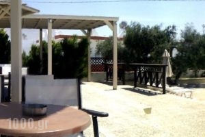 Roses Studios_best prices_in_Hotel_Dodekanessos Islands_Kos_Kos Rest Areas