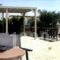 Roses Studios_best prices_in_Hotel_Dodekanessos Islands_Kos_Kos Rest Areas