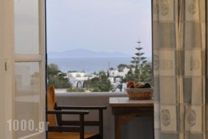 Anixis Studios_best deals_Hotel_Cyclades Islands_Paros_Paros Chora