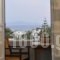 Anixis Studios_best deals_Hotel_Cyclades Islands_Paros_Paros Chora