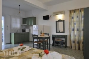 Anixis Studios_lowest prices_in_Hotel_Cyclades Islands_Paros_Paros Chora