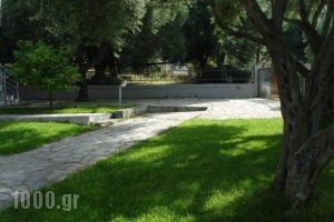 Villa Riza_lowest prices_in_Villa_Epirus_Preveza_Kamarina