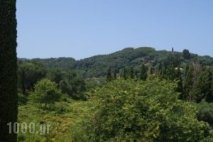 Villa Bouka_best deals_Villa_Ionian Islands_Corfu_Afionas