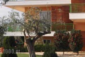 Agroktima Elia_lowest prices_in_Hotel_Peloponesse_Argolida_Nafplio