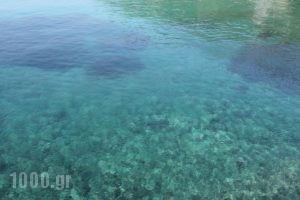 Blue Green Bay_holidays_in_Hotel_Sporades Islands_Skopelos_Skopelos Chora