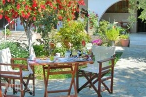 Irini Studios_holidays_in_Hotel_Ionian Islands_Zakinthos_Zakinthos Rest Areas