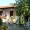 Irini Studios_accommodation_in_Hotel_Ionian Islands_Zakinthos_Zakinthos Rest Areas