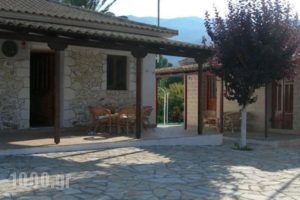 Irini Studios_best deals_Hotel_Ionian Islands_Zakinthos_Zakinthos Rest Areas