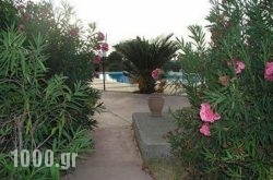 Anthemis Apartments in Akrotiri, Chania, Crete