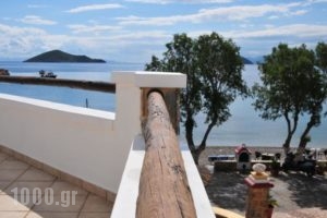 Panteli Beach Hotel_accommodation_in_Hotel_Dodekanessos Islands_Leros_Leros Rest Areas