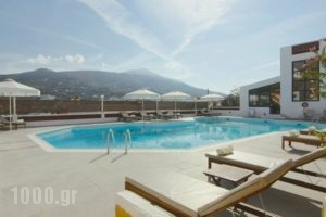 Mare Vista Hotel - Epaminondas_travel_packages_in_Cyclades Islands_Andros_Andros City