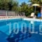 Elena-Pelagia Villas_best deals_Villa_Crete_Rethymnon_Rethymnon City