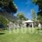 Allea Hotel and Apartments_best deals_Apartment_Macedonia_Halkidiki_Sykia