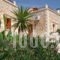 Viola Suites_holidays_in_Hotel_Crete_Chania_Sfakia