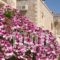 Viola Suites_lowest prices_in_Hotel_Crete_Chania_Sfakia