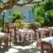 Julia Apartments_best deals_Apartment_Crete_Rethymnon_Rethymnon City