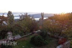 Klio Guesthouse_best prices_in_Hotel_Thessaly_Magnesia_Neochori