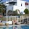 Ostria Inn_best prices_in_Hotel_Cyclades Islands_Naxos_Naxosst Areas