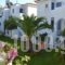 Maistrali Studios_accommodation_in_Hotel_Cyclades Islands_Andros_Andros City