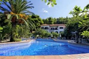 Delphi Resort_accommodation_in_Hotel_Sporades Islands_Skiathos_Skiathoshora