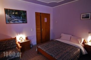 To Oneiro_accommodation_in_Hotel_Central Greece_Evritania_Karpenisi